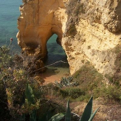 太空人夜间挑战赛